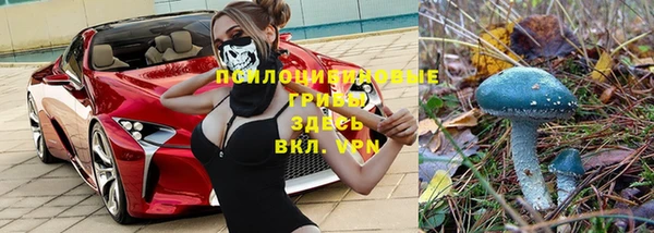 амф Карпинск