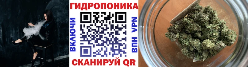 Купить где  Гвардейск  Конопля OG Kush 