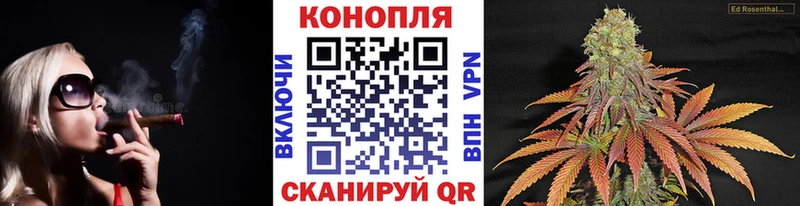 Шишки марихуана планчик Гвардейск